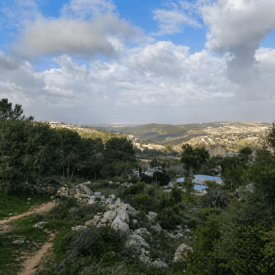 תצ]ית נוף הר דפנה